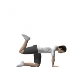 Leg Flexion, Quadruped, Mat, Exercise